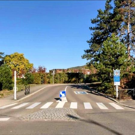 L'Appar'T - Centre Historique De Obernai Apartman Kültér fotó