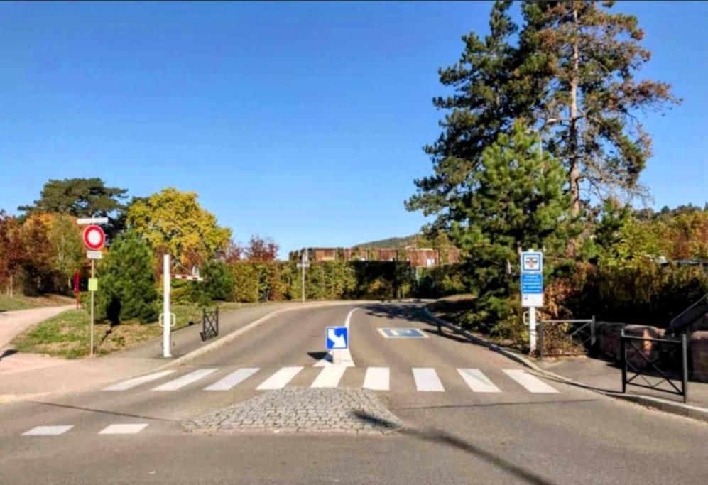 L'Appar'T - Centre Historique De Obernai Apartman Kültér fotó