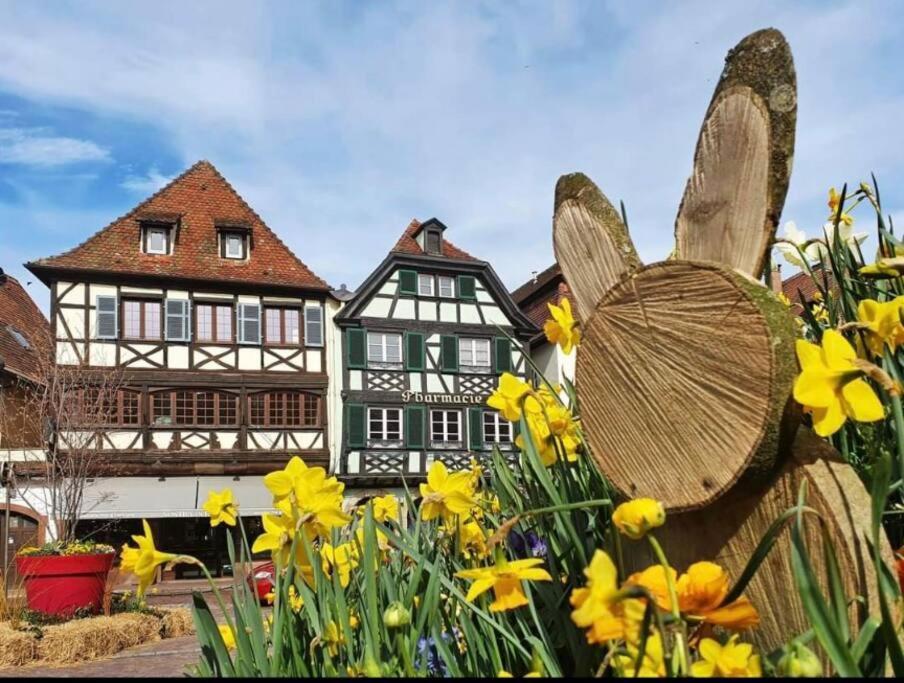 L'Appar'T - Centre Historique De Obernai Apartman Kültér fotó
