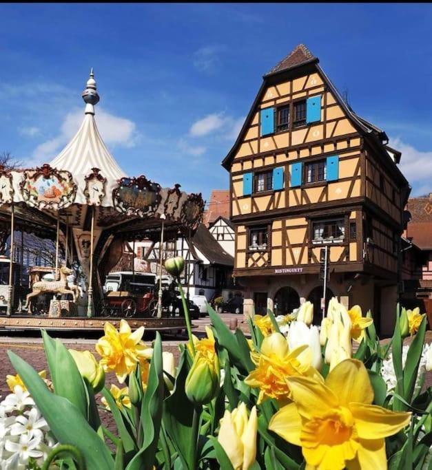 L'Appar'T - Centre Historique De Obernai Apartman Kültér fotó