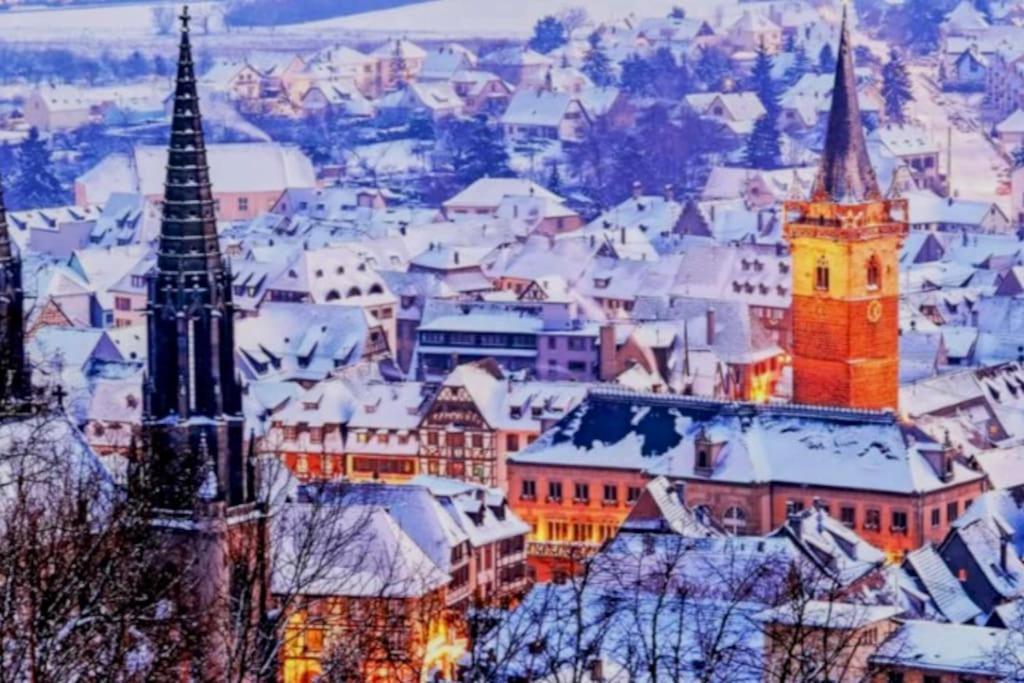 L'Appar'T - Centre Historique De Obernai Apartman Kültér fotó