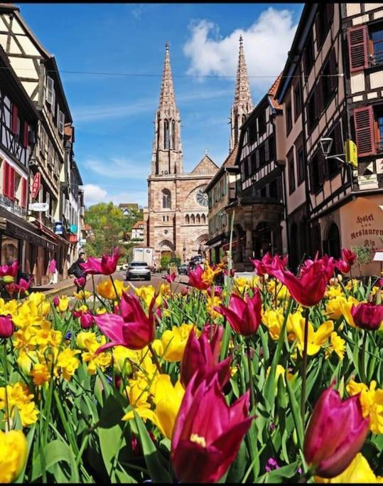 L'Appar'T - Centre Historique De Obernai Apartman Kültér fotó